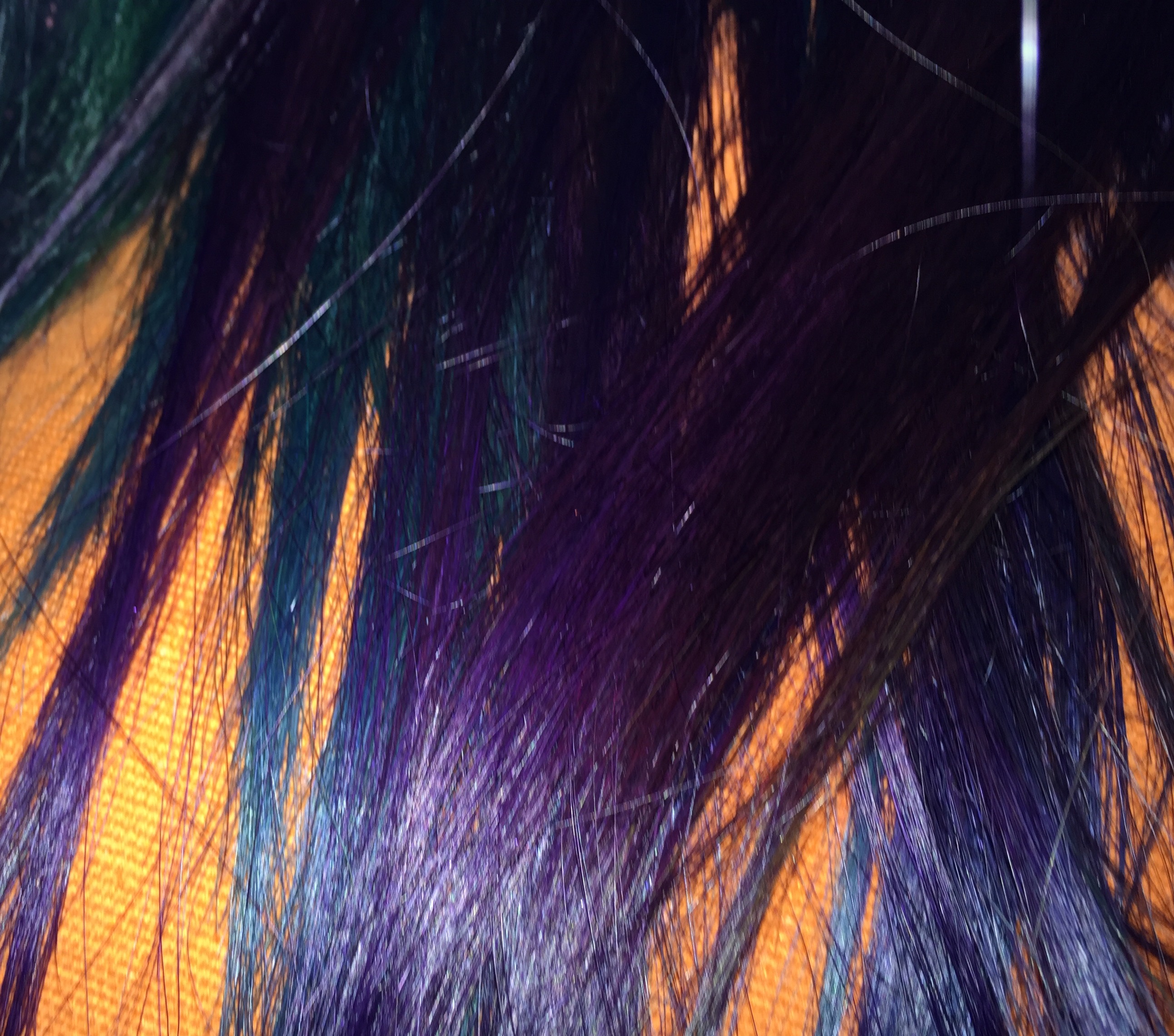 PurpleHair