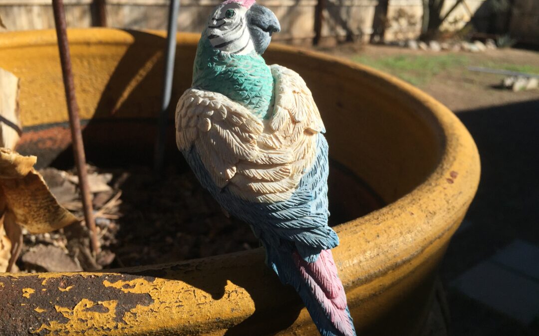 Parrot