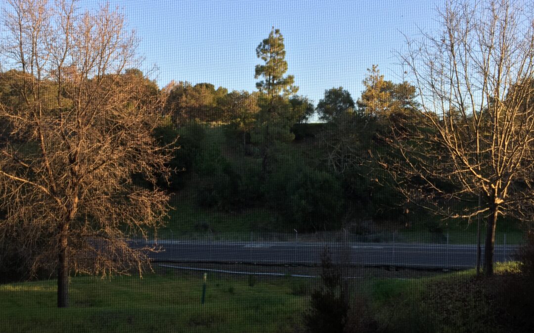 Stanford Guest House