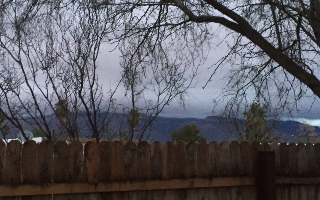 Cloudy Catalinas through Palo Verde