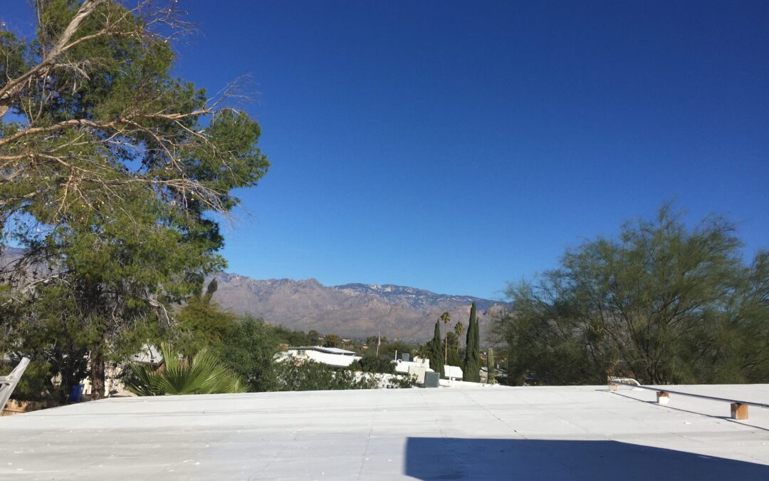 roof catalinas