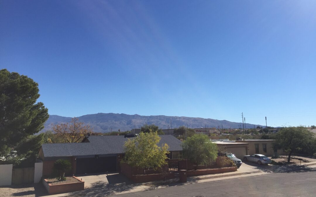 roof rincons