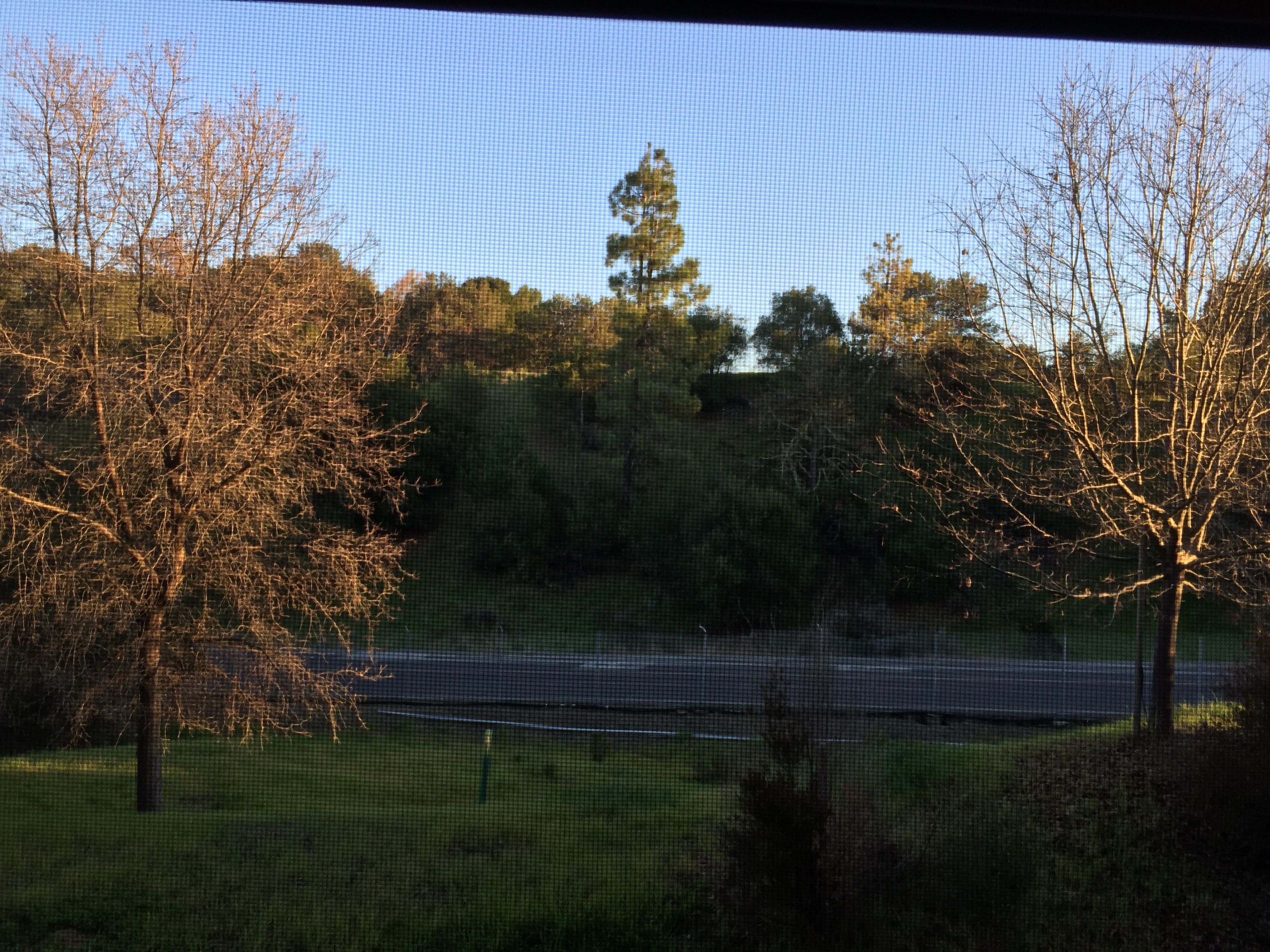Stanford Guest House